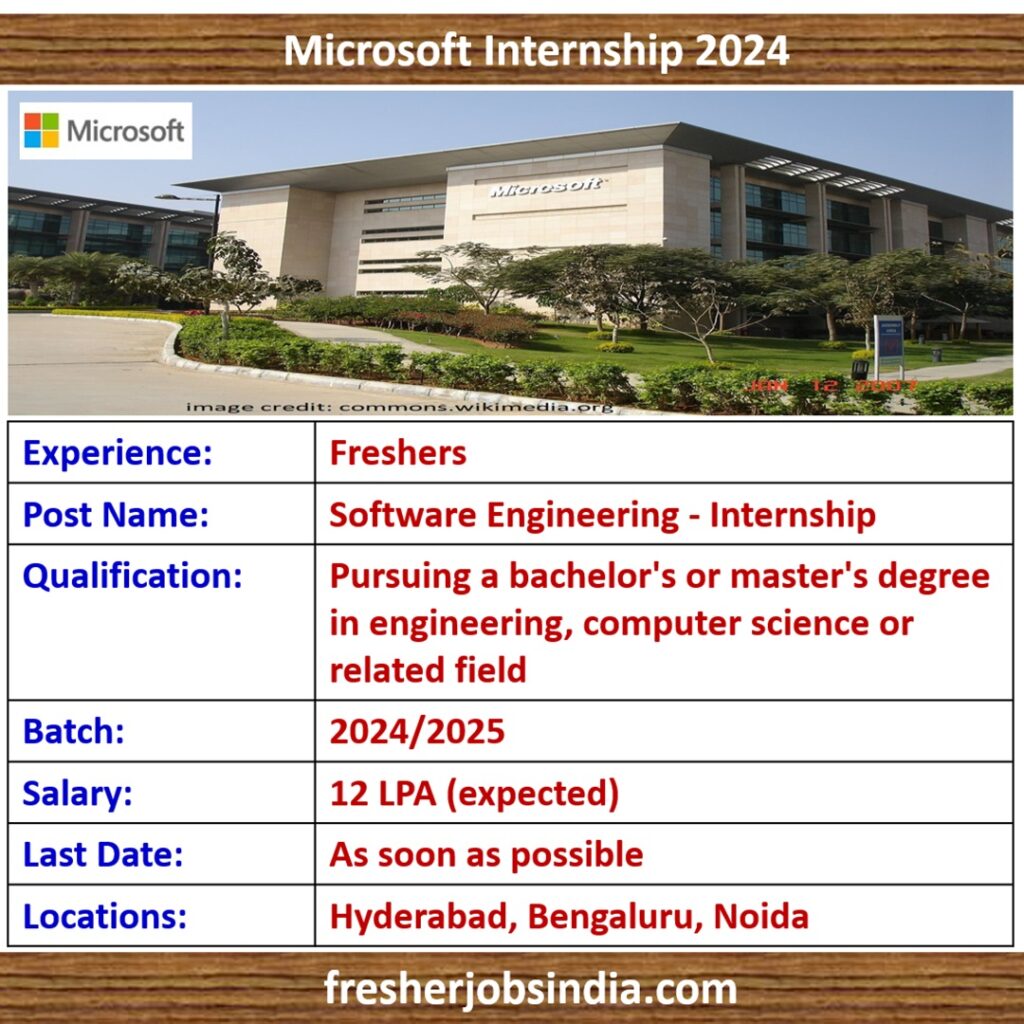 Microsoft Internship 2024 Software Engineering Internship